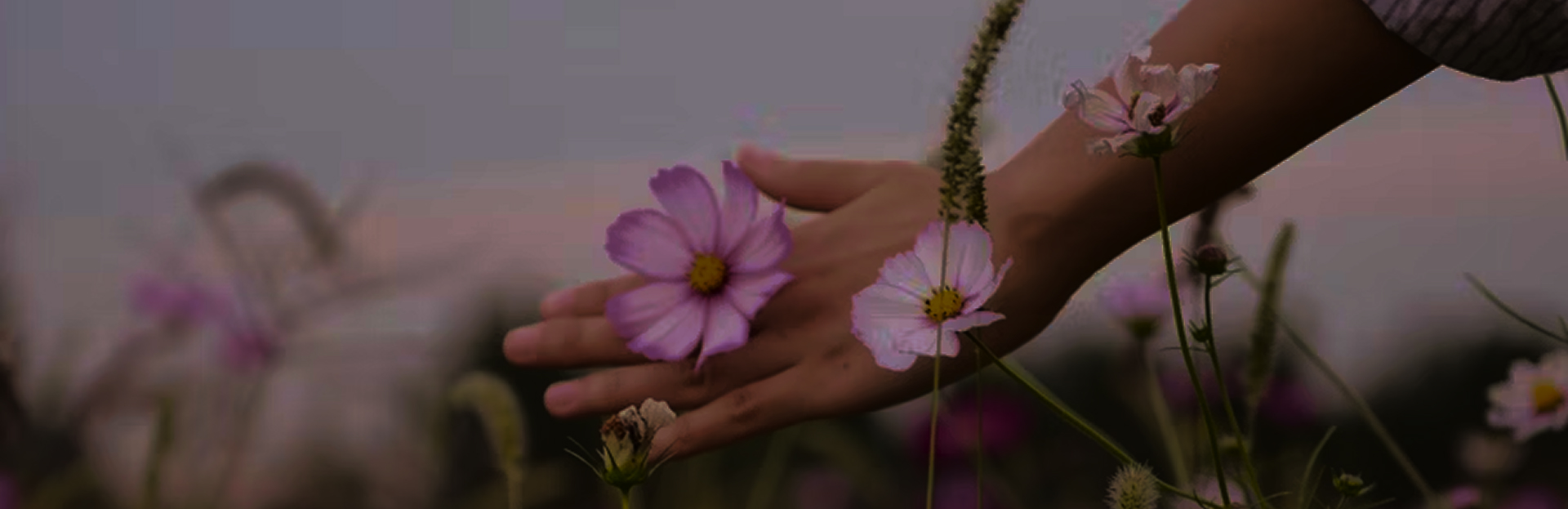 Donate to Root and Bloom Institute Donate