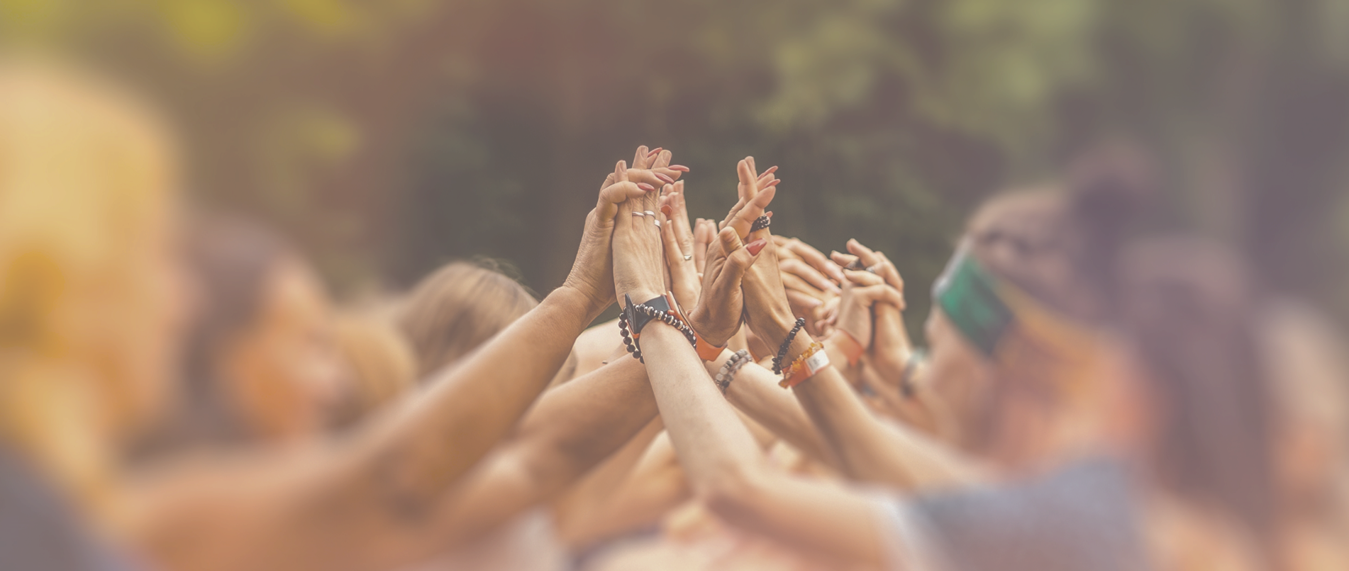People raising joined hands in ceremony at Root & Bloom Institute.