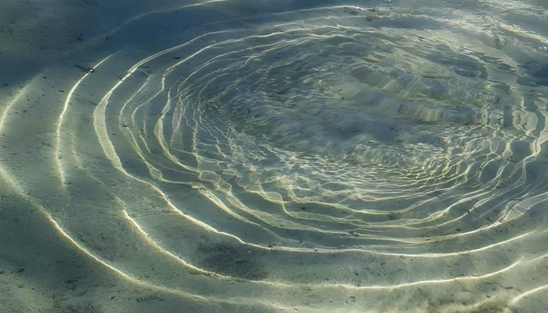 Root and bloom, institute - classroom rentals, water way